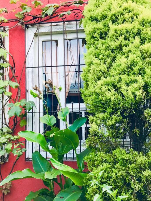 Casa I'X Διαμέρισμα San Juan La Laguna Εξωτερικό φωτογραφία